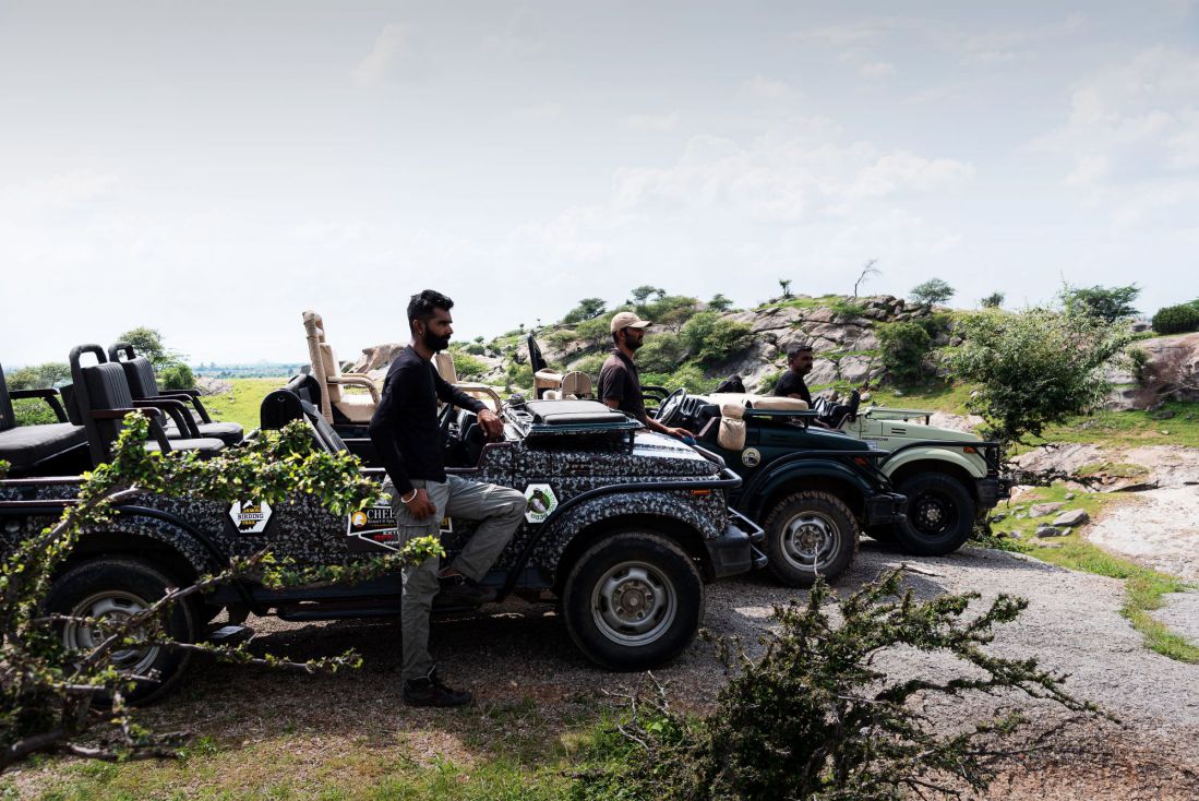 Capture the Magic of Jawai Hills with Wildlife Photography