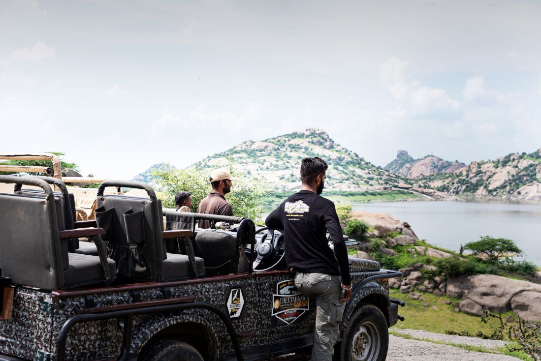 Top Reasons Why You Should Go For Jungle Safari in Rajasthan
